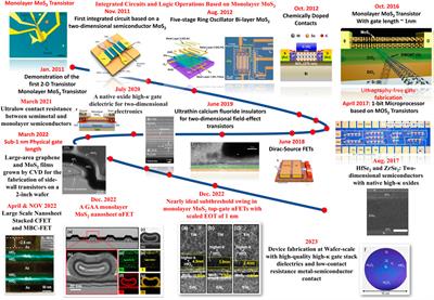 Two-dimensional semiconductors based field-effect transistors: review of major milestones and challenges